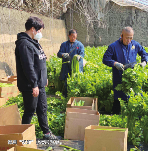 ½ðɳjs1005Ïß· - Ïß·¼ì²âÖÐÐÄ